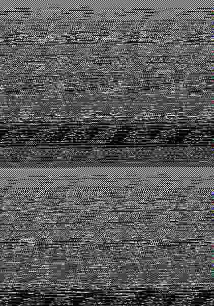 Ortoleco 2