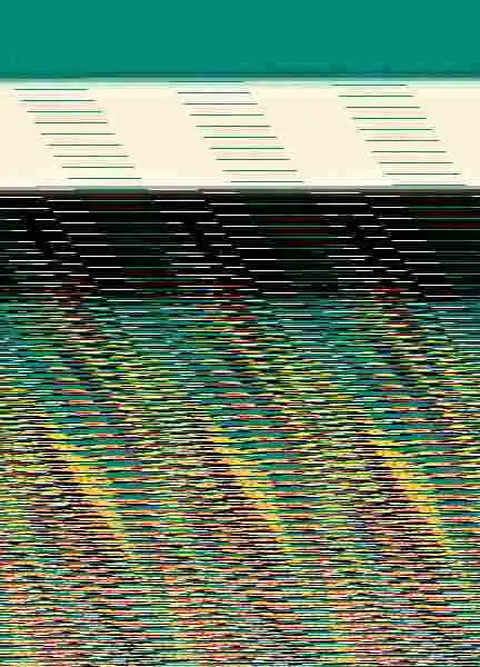Flamenkoz