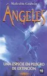 Ángeles