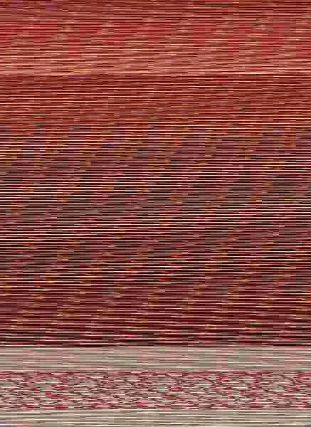 Fisioterapia del Aparato Locomotor
