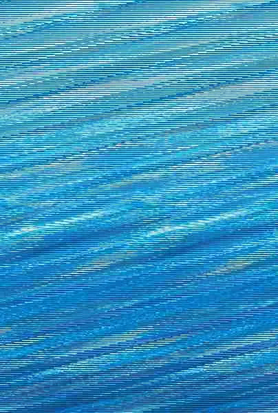 Manual del Buceador (Bicolor)