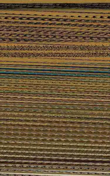 Pájaros de Altura