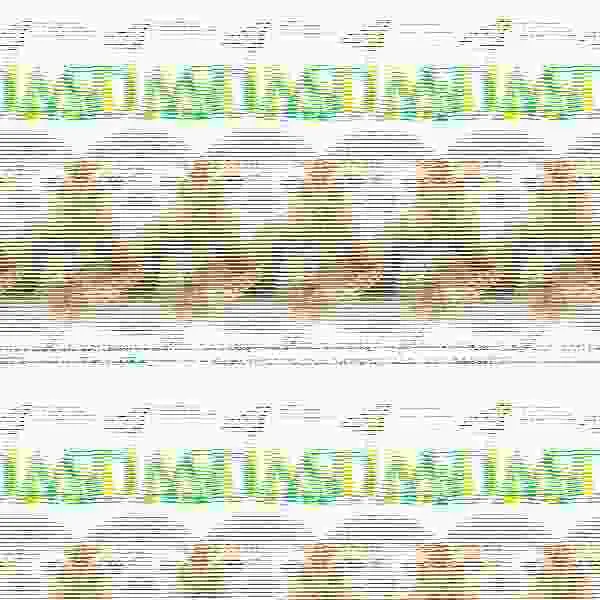 Animaladas
