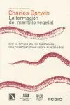 La Formación del Mantillo Vegetal