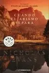 Cuando el Abismo Separa