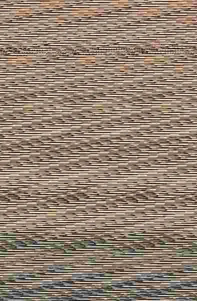 1919