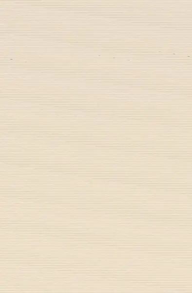 Diario 1887-1910