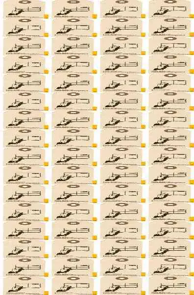 Ensimismada Correspondencia