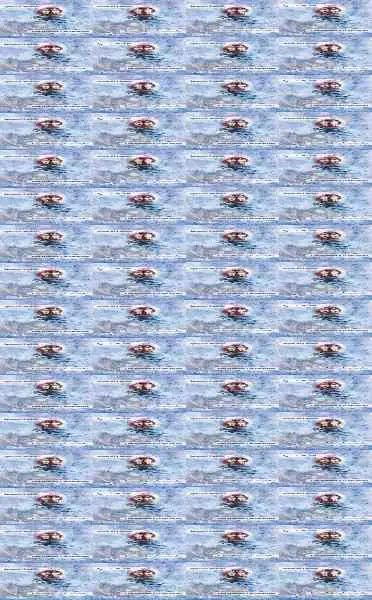 Los Reflejos y la Escarcha