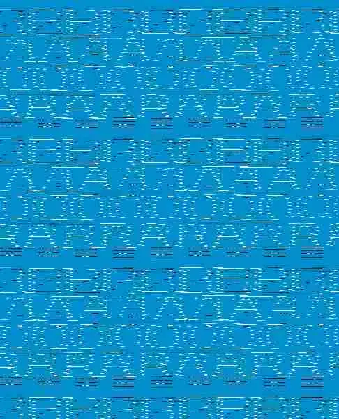 Bitacora 2