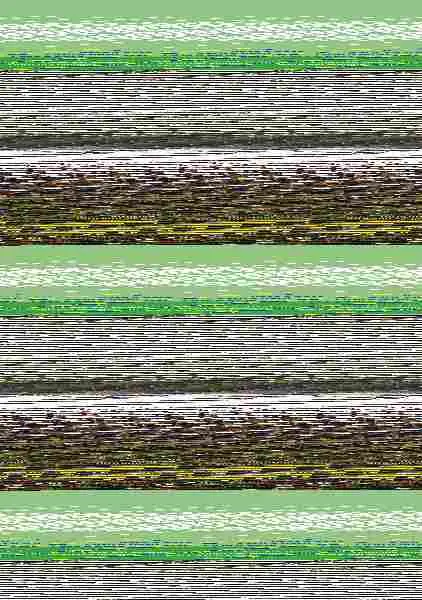 ¡Nos Vemos! Paso a Paso 9 (B1. 4) Libro del Alumno + Cd Audio