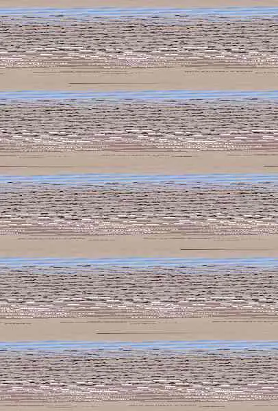 Desenes Jornades Darqueologia de les Comarques de Girona