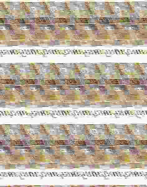Rompecabezas