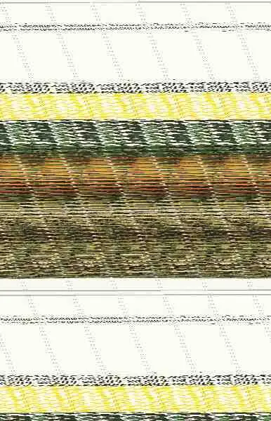 Guia de Bolsillo para el Buscador de Setas