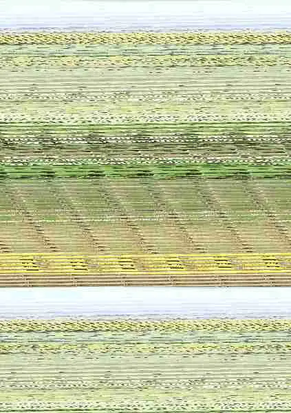 Agricultura Ecologica de Secano