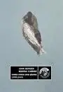 Cómo Crece una Pluma 1999-2005