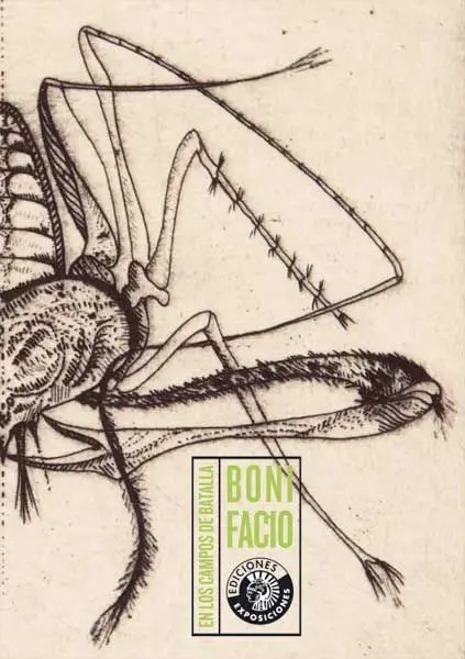 Bonifacio. En los Campos de Batalla