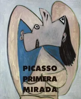 Picasso, Primera Mirada