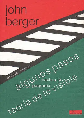 Algunos Pasos Hacia una Pequeña Teoría de lo Visible