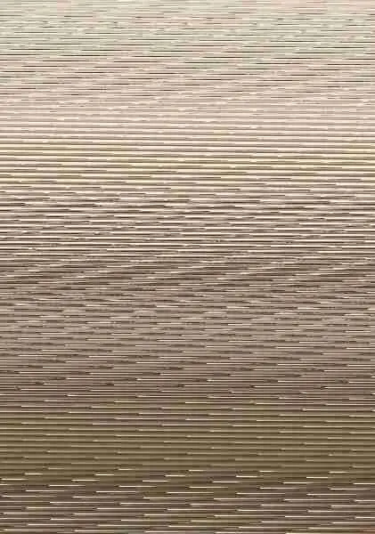 Curva Pornográfica, la