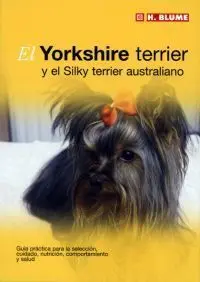 El Yorkshire Terrier