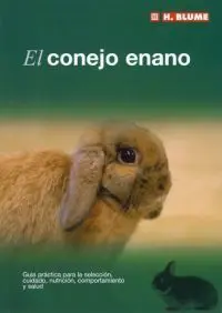 El Conejo Enano