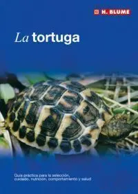 La Tortuga