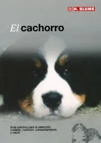 El Cachorro