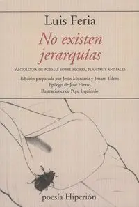 No Existen Jerarquias