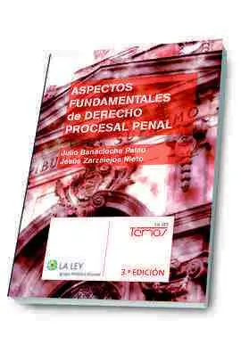 Aspectos Fundamentales de Derecho Procesal Penal (3. ª Edición)
