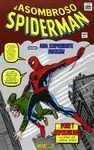 Asombroso Spiderman Poder y Responsa