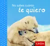 No Sabes Cuánto te Quiero