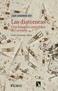 Las Diatomeas y los Bosques Invisibles del Oceano