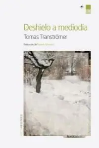 Deshielo a Mediodía