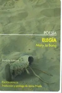 Elegia