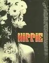 Hippie