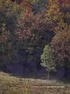 Castilla y León. Un Cierto Paisaje