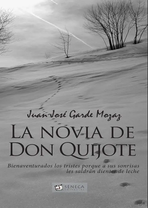 La Novia de Don Quijote