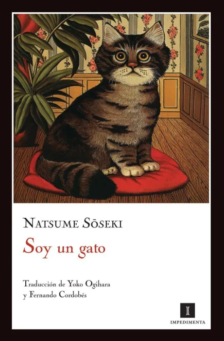 Soy un Gato