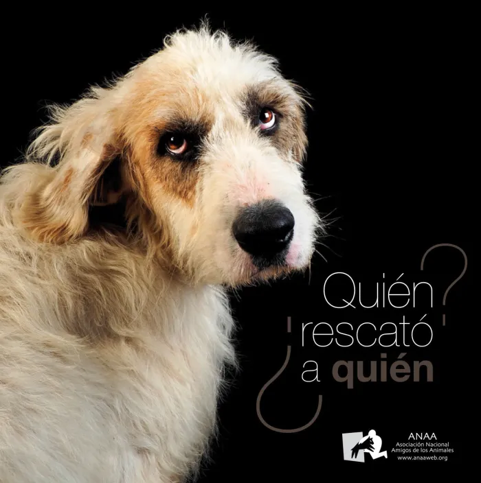 ¿Quién Rescató a Quién?