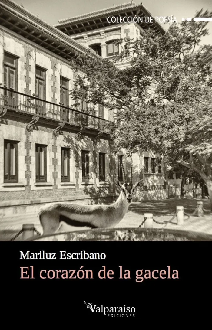El Corazón de la Gacela