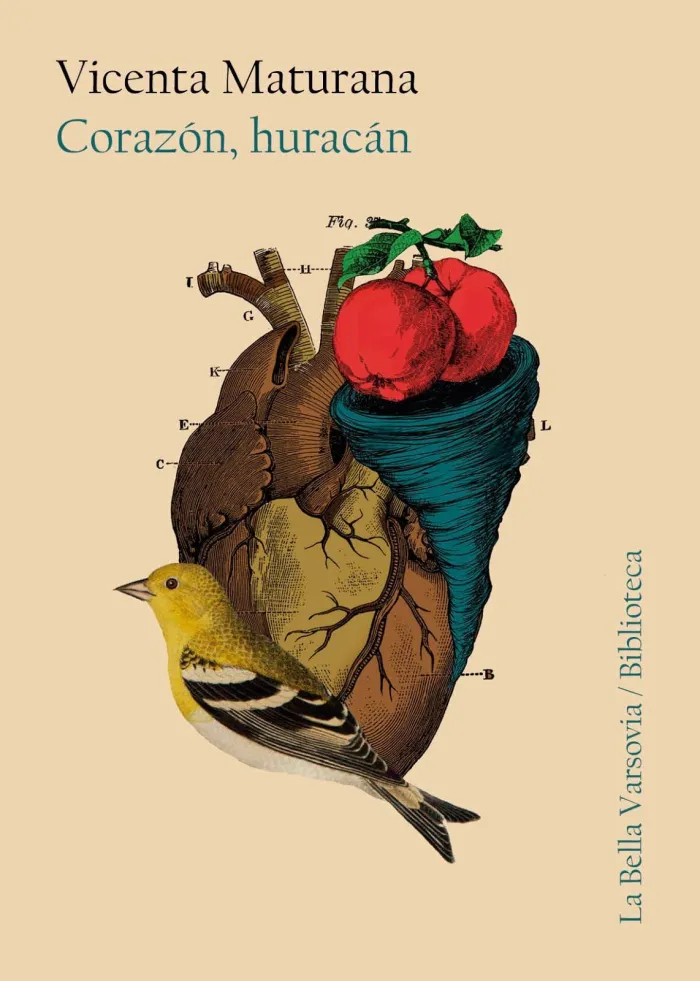 Corazon Huracan