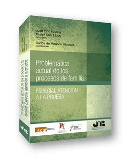 Problemática Actual de los Procesos de Familia. Especial Atención a la Prueba