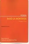 Bajo la Montaña