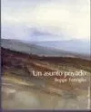 Un Asunto Privado