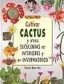 Cultivar Cactus y Otras Suculentas en Interiores e
