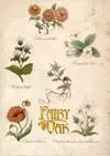 Pack. Fairy Oak (2 Vols. )