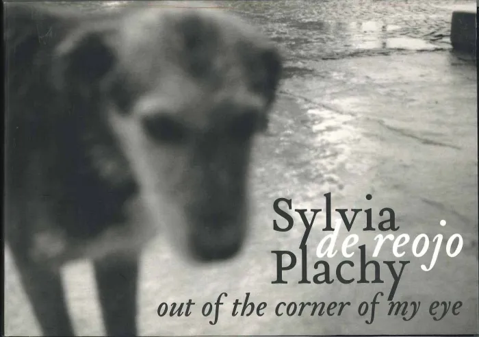 Sylvia Plachy. De Reojo Out Of The Corner Of My Eye
