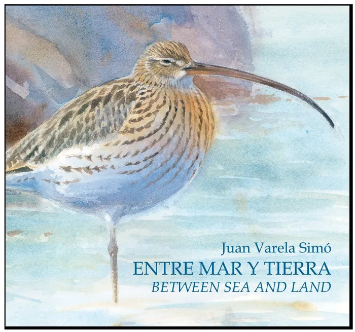 Entre el Mar y Tierra = Between Sea And Land