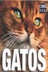 Gatos